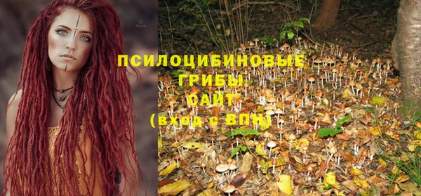 ешки Медногорск