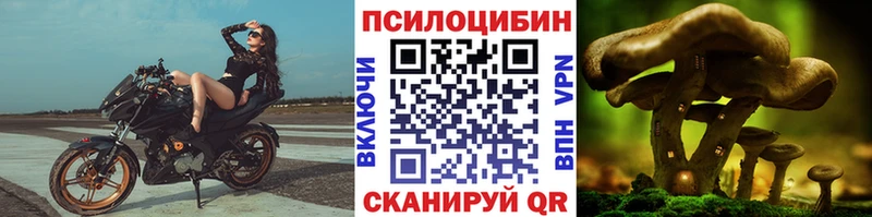 Псилоцибиновые грибы Psilocybe  Липки 